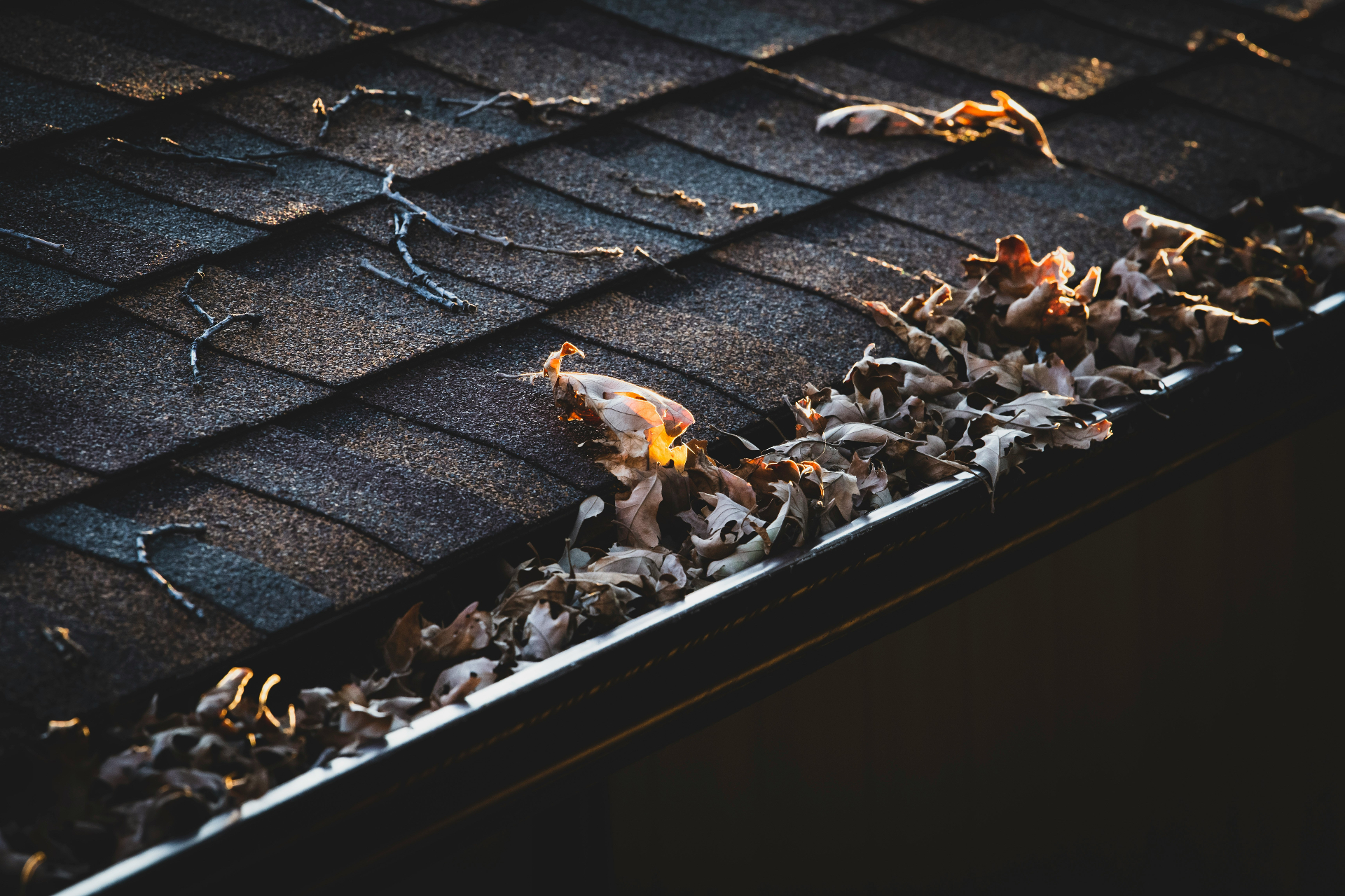 Gutter Kings project by Pixel Bargain